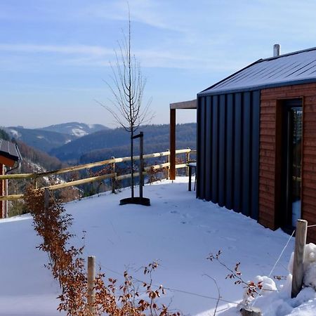 Uplandparcs Winterberg Villa Kültér fotó